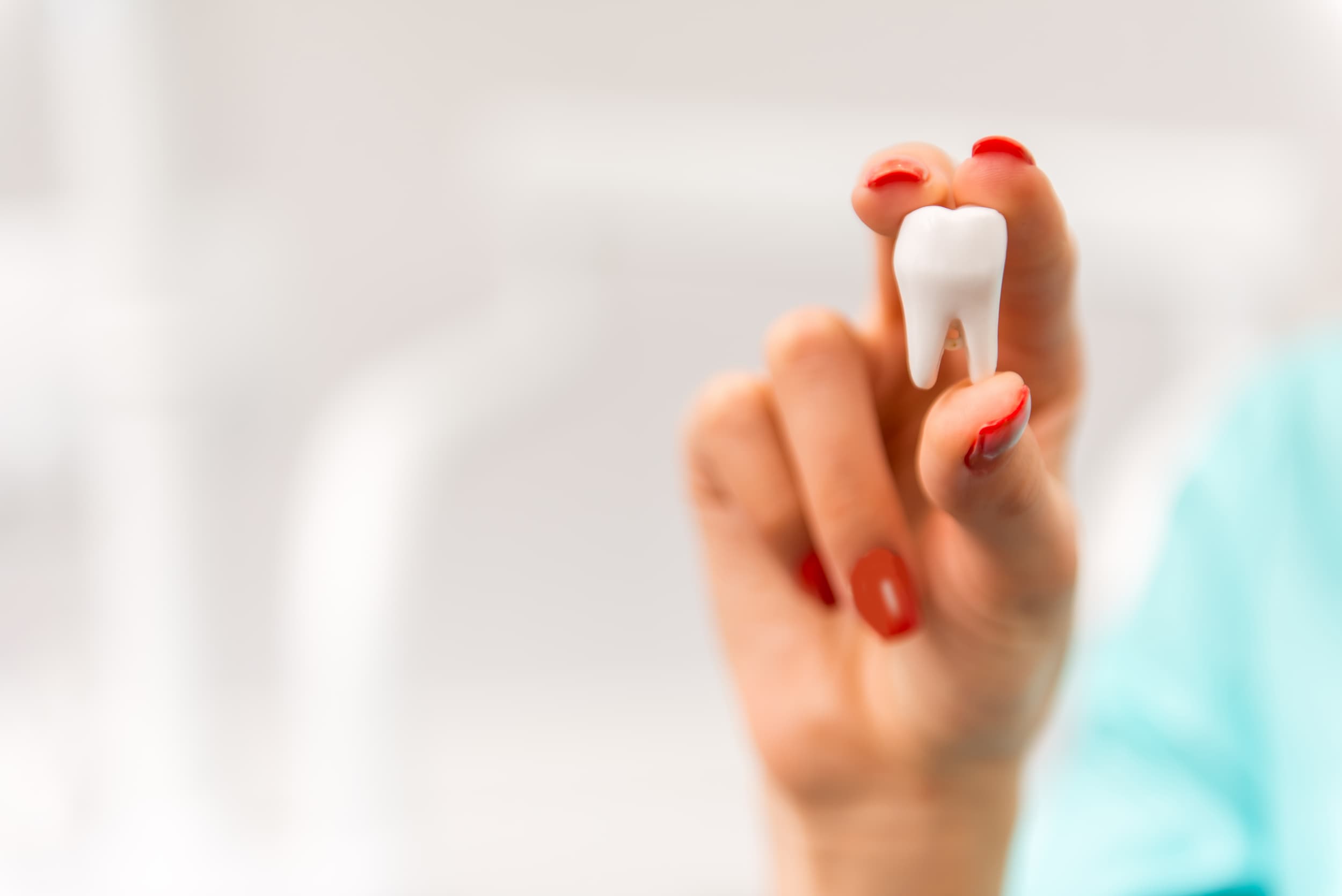 Dentist holding extracted tooth model at Exquisite Smiles Warner